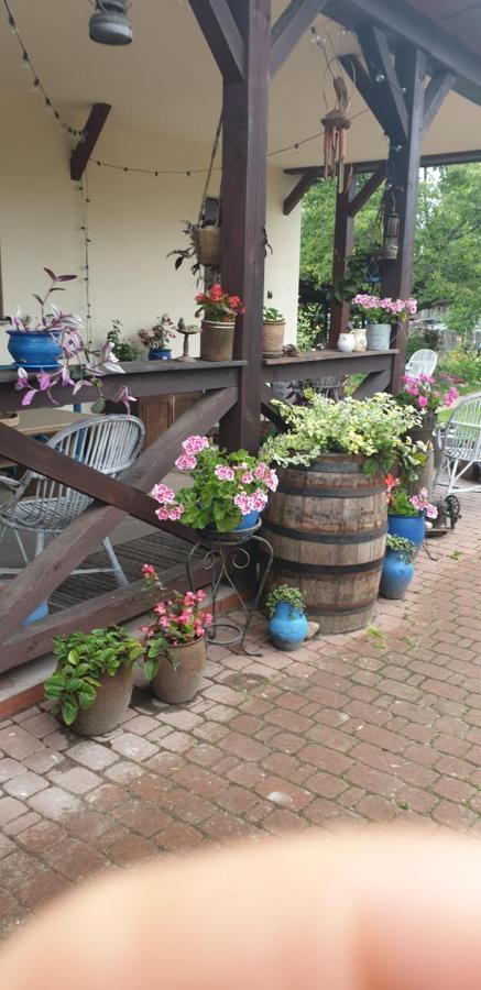 Ferienwohnung Jutrzenka Białowieża Exterior foto