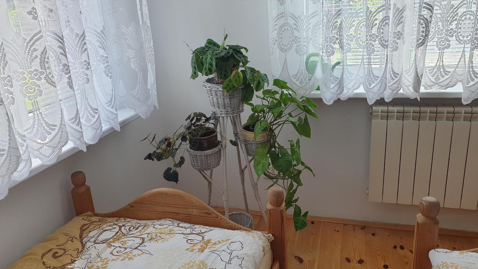Ferienwohnung Jutrzenka Białowieża Exterior foto